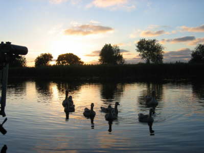 Thank Heavens they've gone!